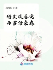 待尘埃落定方见花开的意思